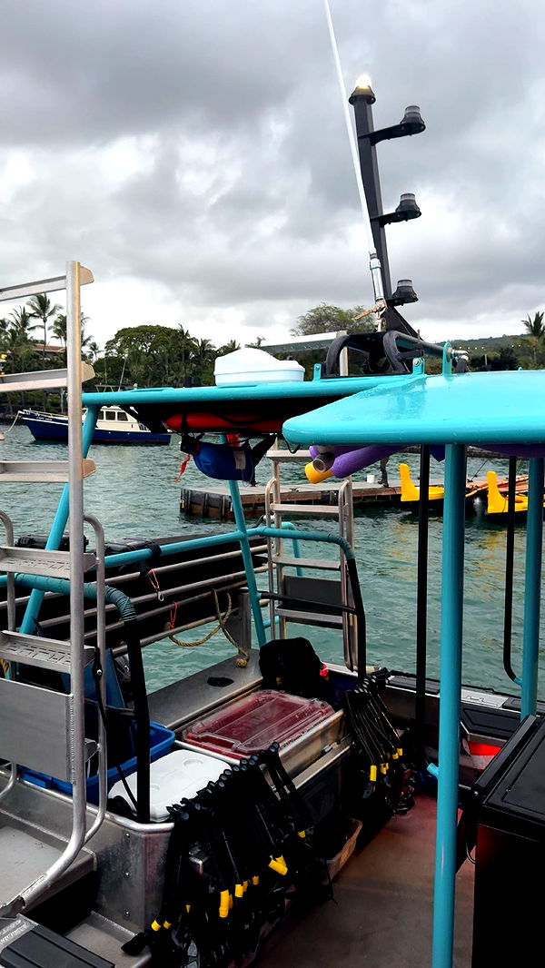 realhaylujan image ~ Altpins