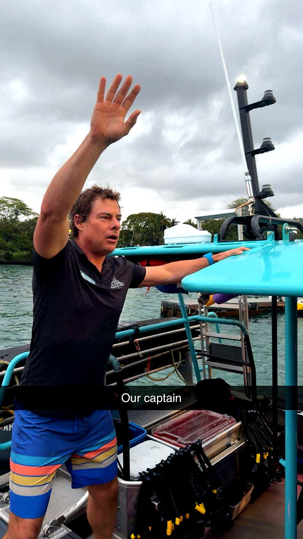 realhaylujan image ~ Altpins