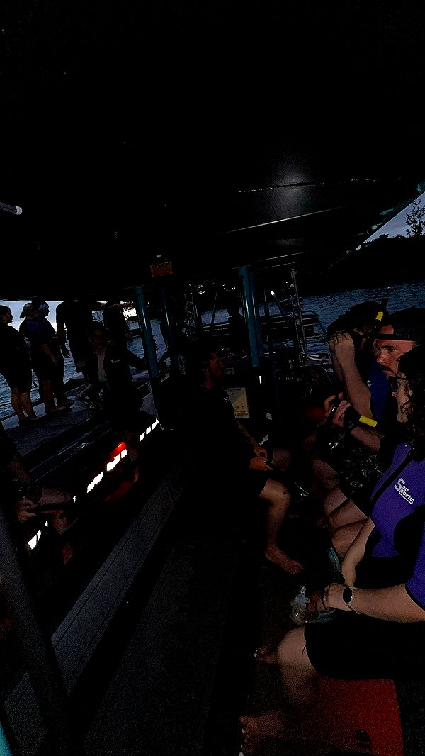 realhaylujan image ~ Altpins