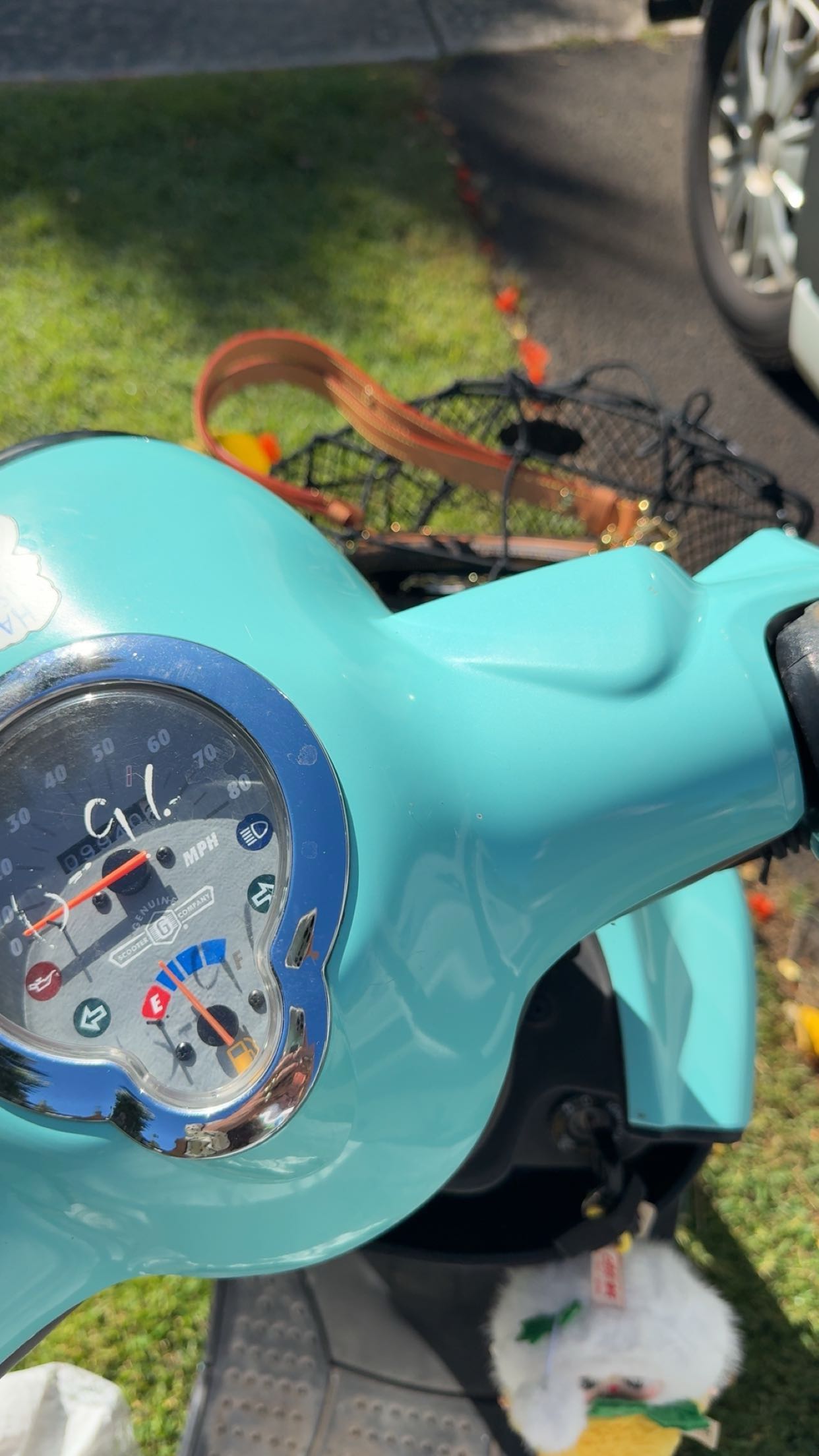 realhaylujan snapchat image archive image