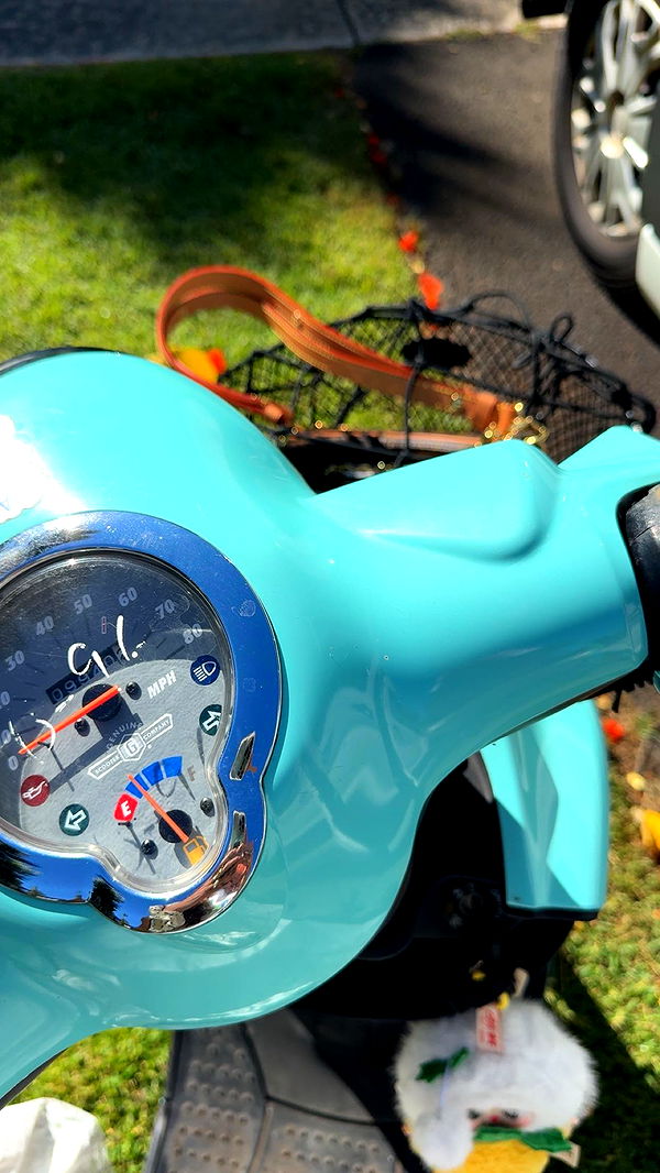 realhaylujan image ~ Altpins