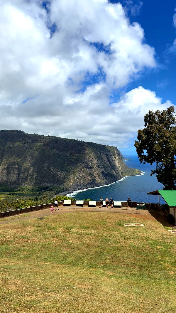 realhaylujan image ~ Altpins