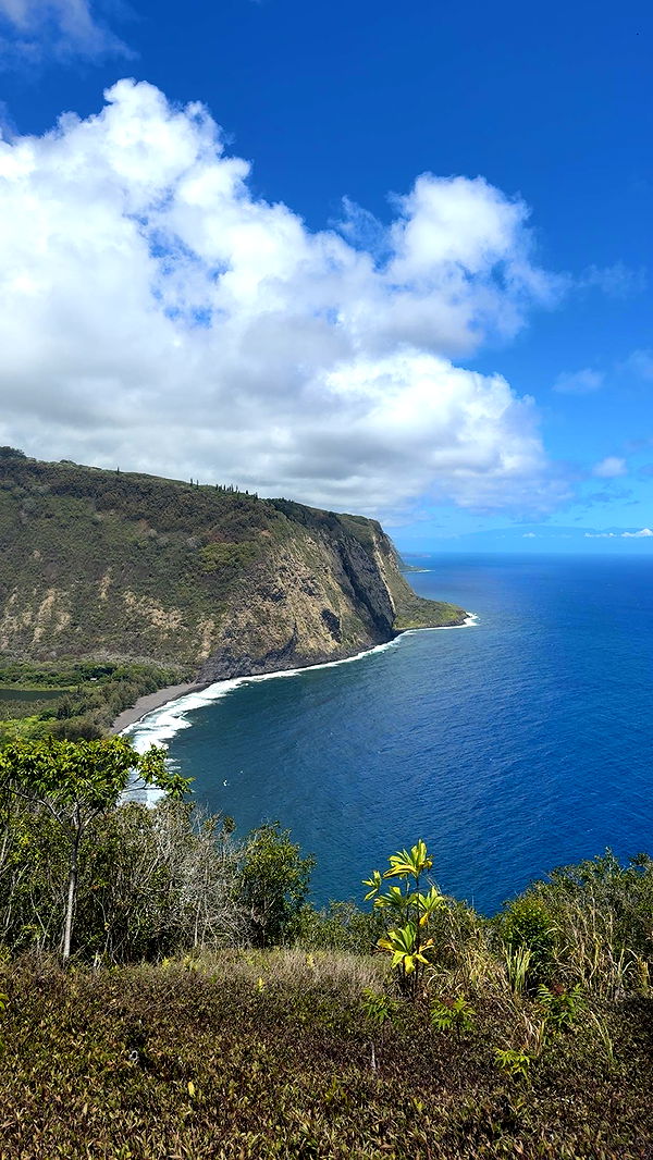 realhaylujan image ~ Altpins