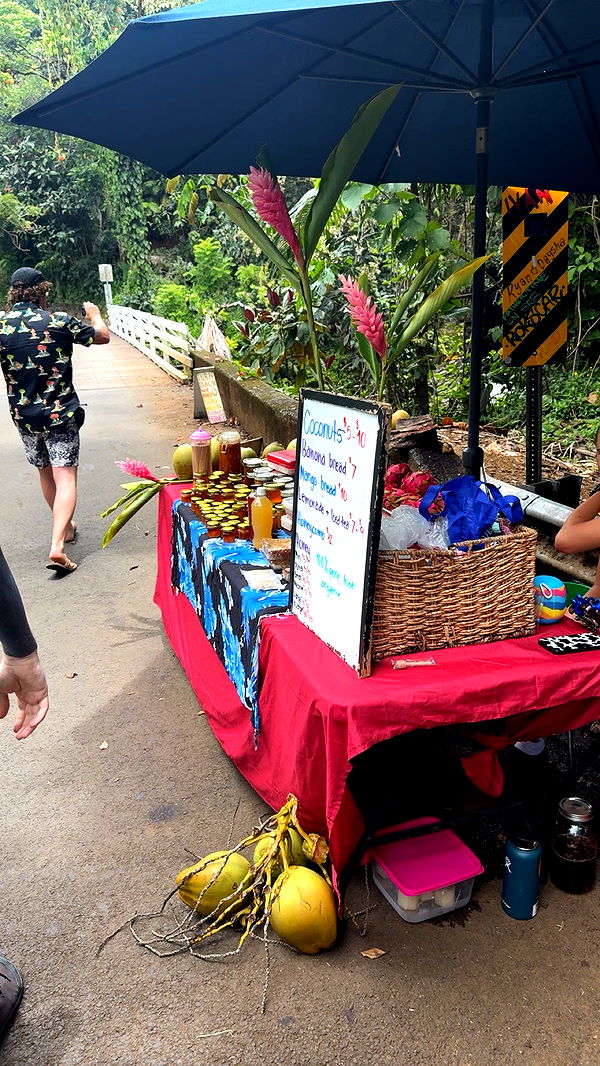 realhaylujan image ~ Altpins