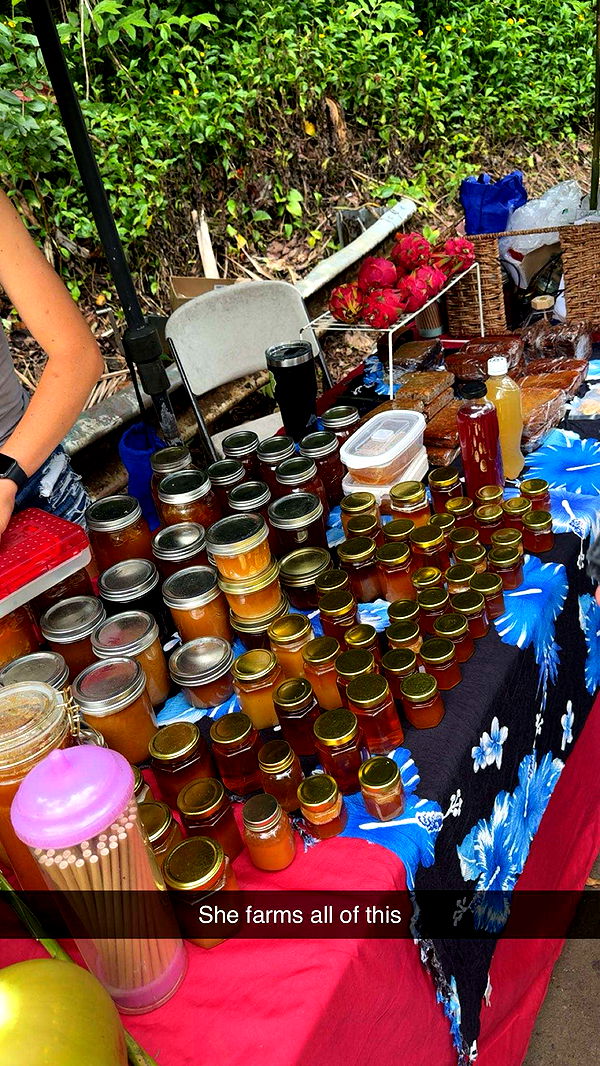 realhaylujan image ~ Altpins