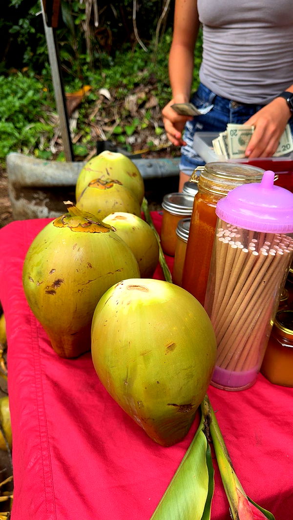 realhaylujan image ~ Altpins