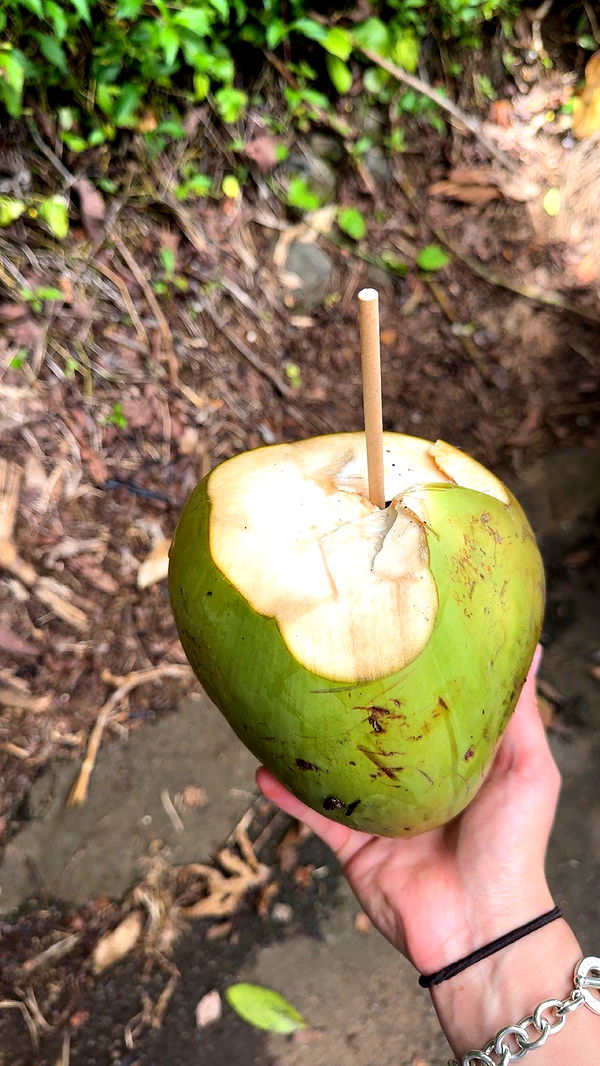 realhaylujan image ~ Altpins