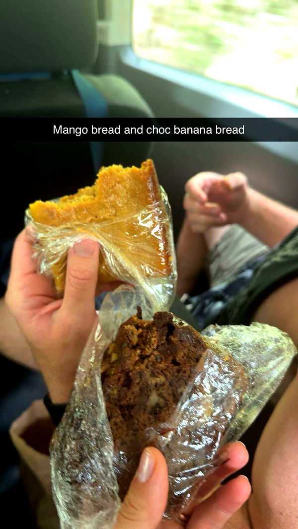 realhaylujan image ~ Altpins