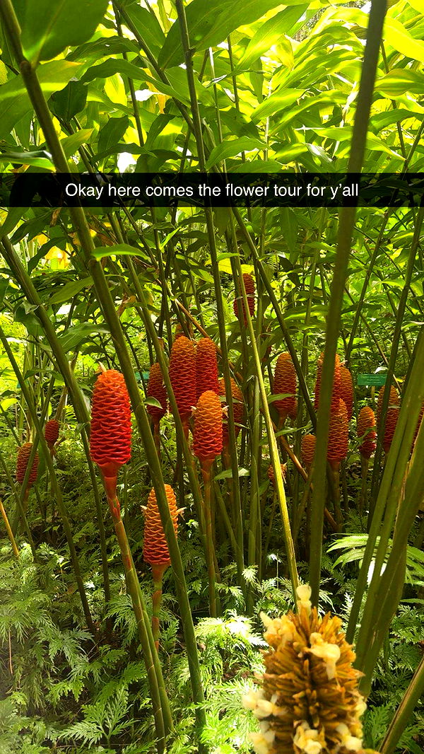 realhaylujan image ~ Altpins