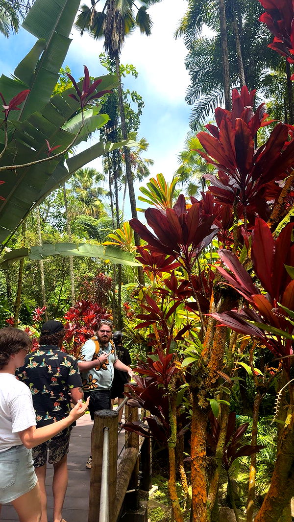 realhaylujan image ~ Altpins