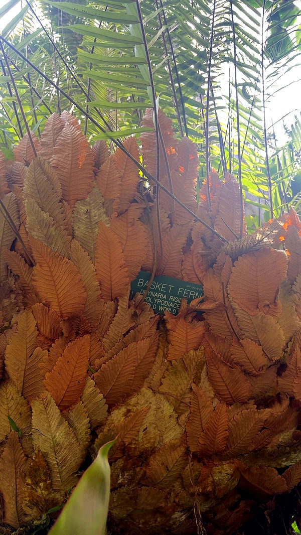 realhaylujan image ~ Altpins