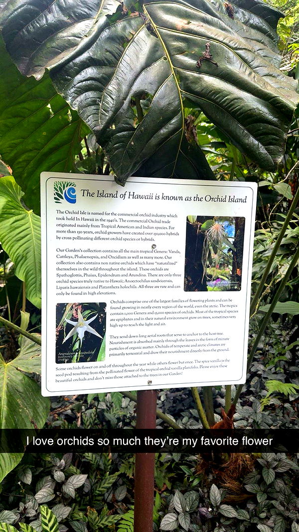 realhaylujan image ~ Altpins