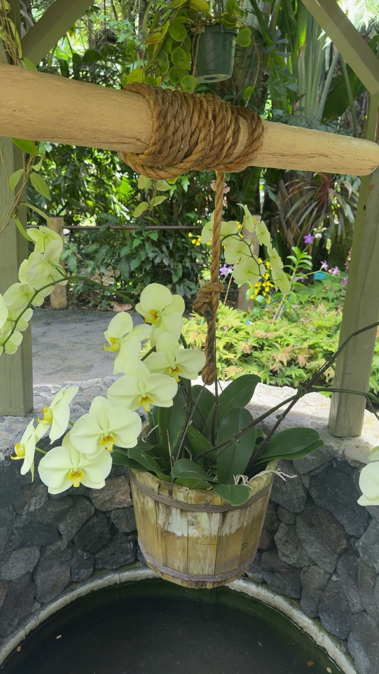 realhaylujan snapchat image archive image