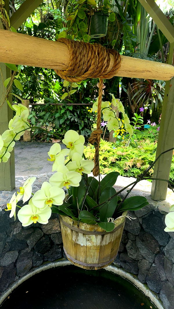 realhaylujan image ~ Altpins