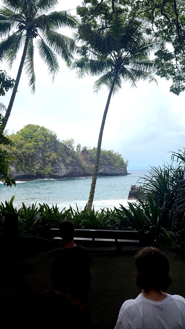 realhaylujan image ~ Altpins