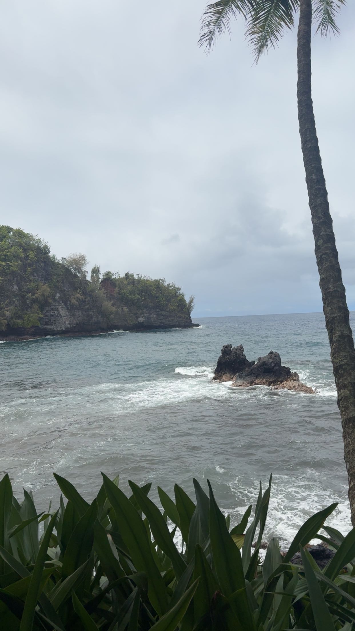 realhaylujan snapchat image archive image