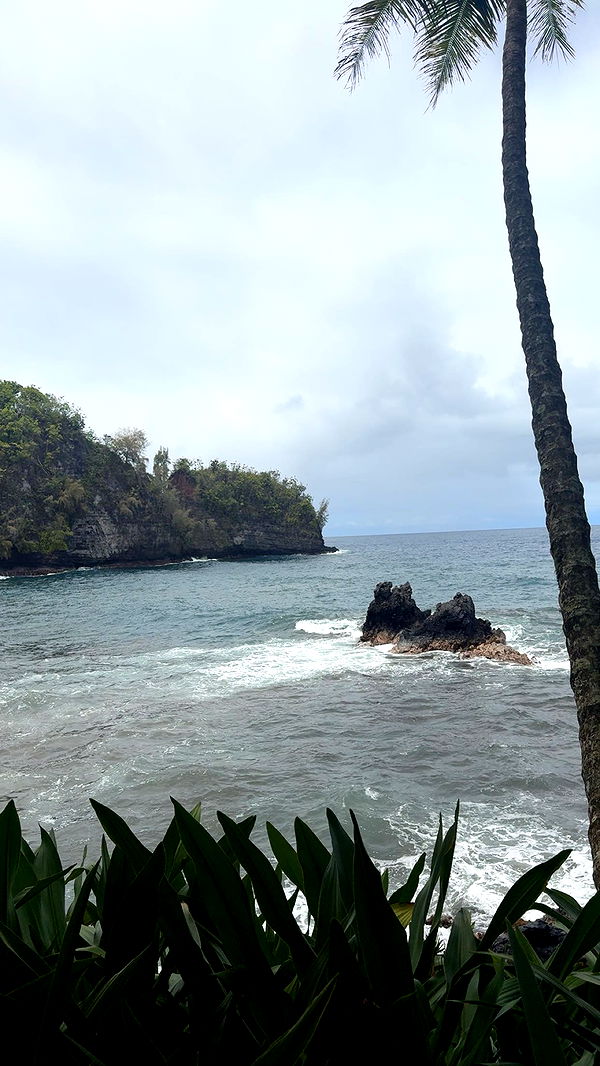 realhaylujan image ~ Altpins