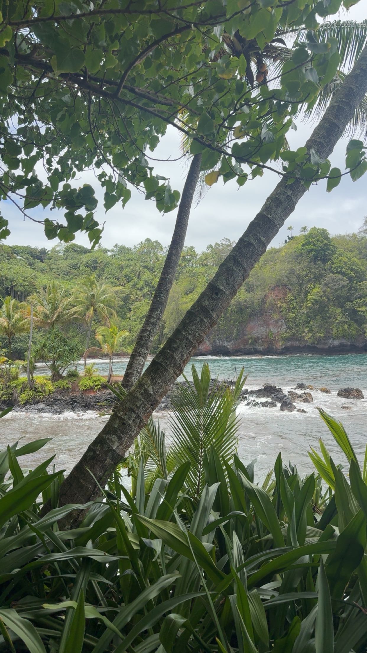 realhaylujan snapchat image archive image