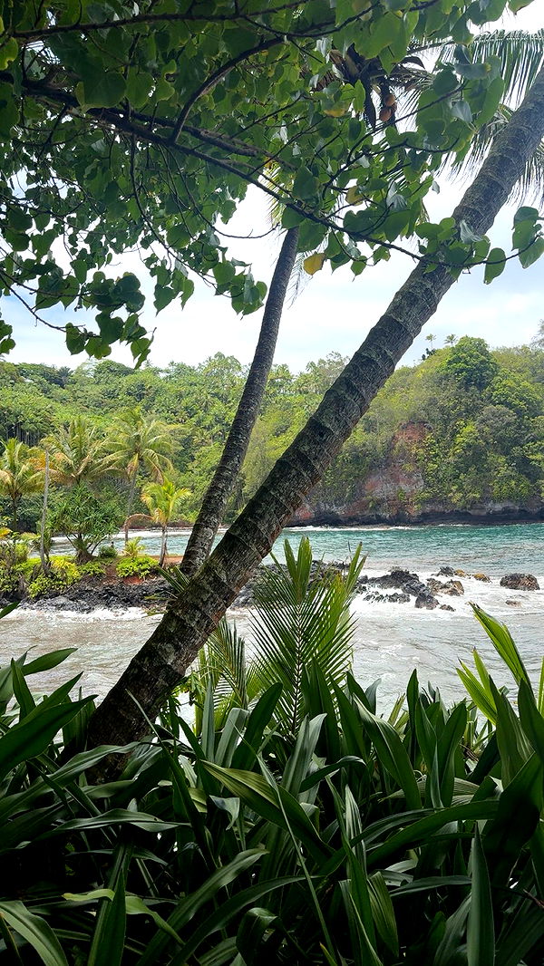 realhaylujan image ~ Altpins