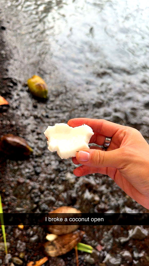 realhaylujan image ~ Altpins