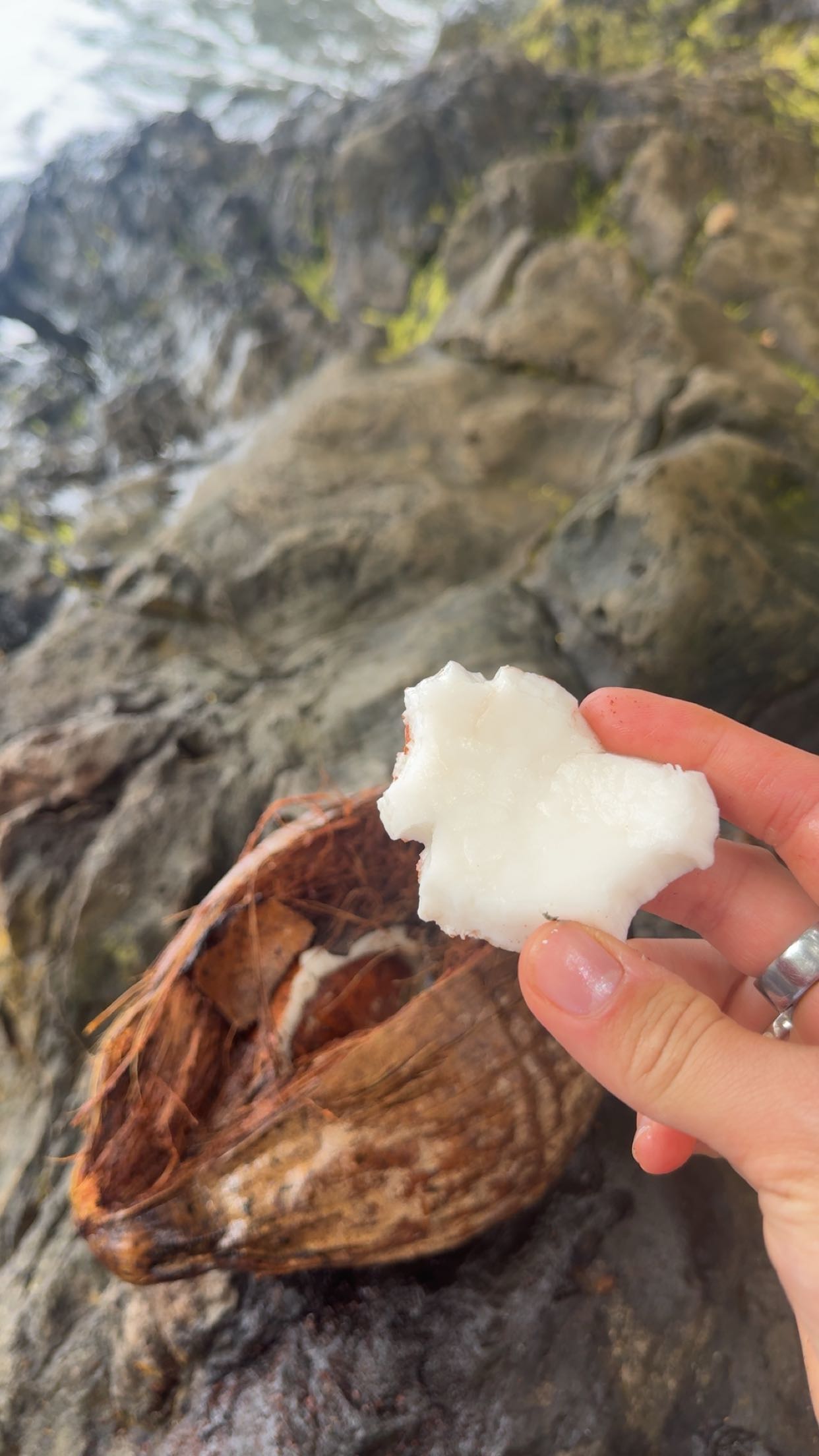 realhaylujan snapchat image archive image