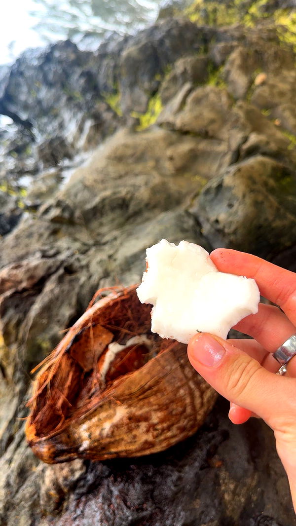 realhaylujan image ~ Altpins