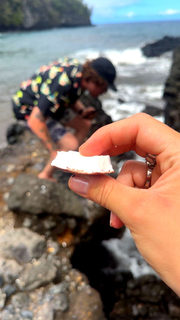 realhaylujan image ~ Altpins