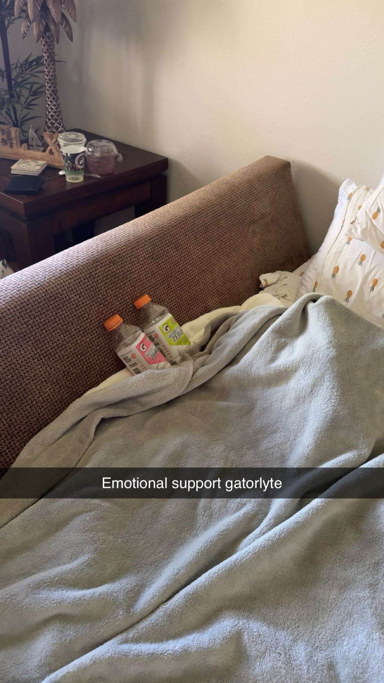 realhaylujan snapchat image archive image