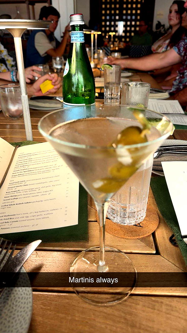 realhaylujan image ~ Altpins