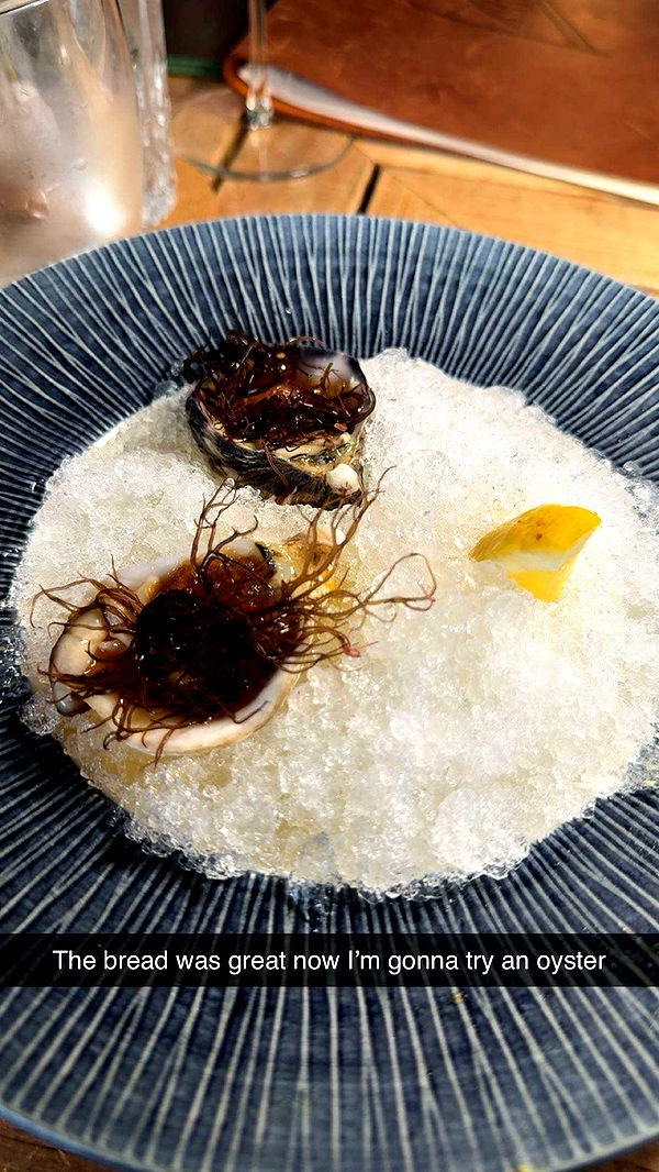 realhaylujan image ~ Altpins