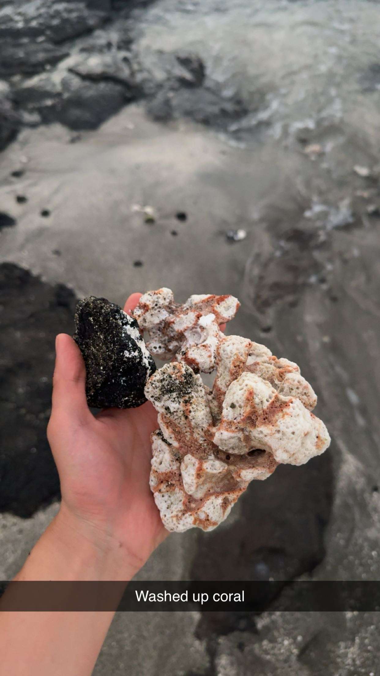 realhaylujan snapchat image archive image