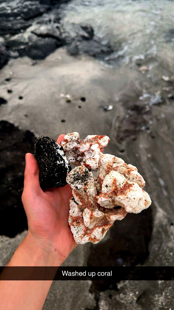 realhaylujan image ~ Altpins