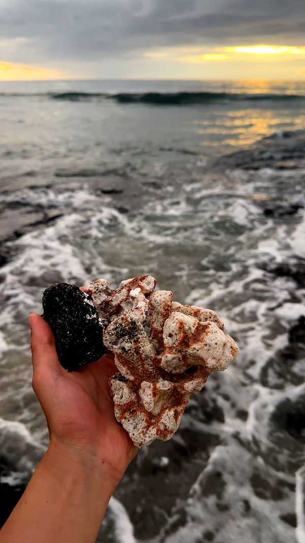 realhaylujan image ~ Altpins