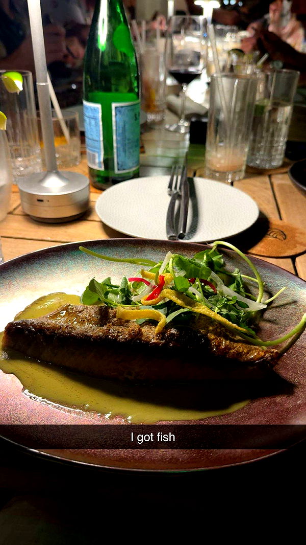 realhaylujan image ~ Altpins