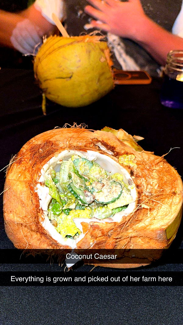 realhaylujan image ~ Altpins