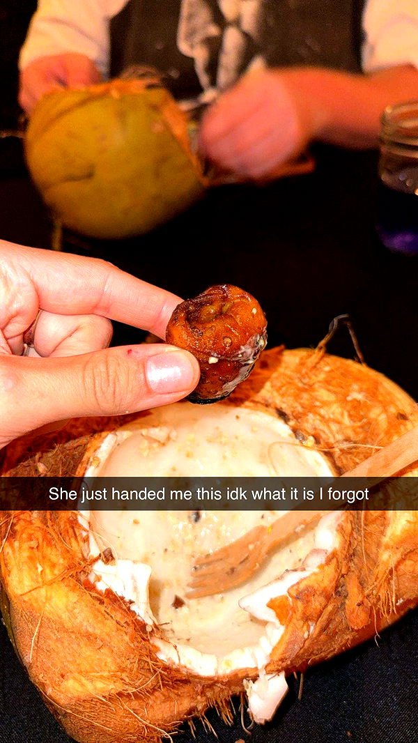 realhaylujan image ~ Altpins