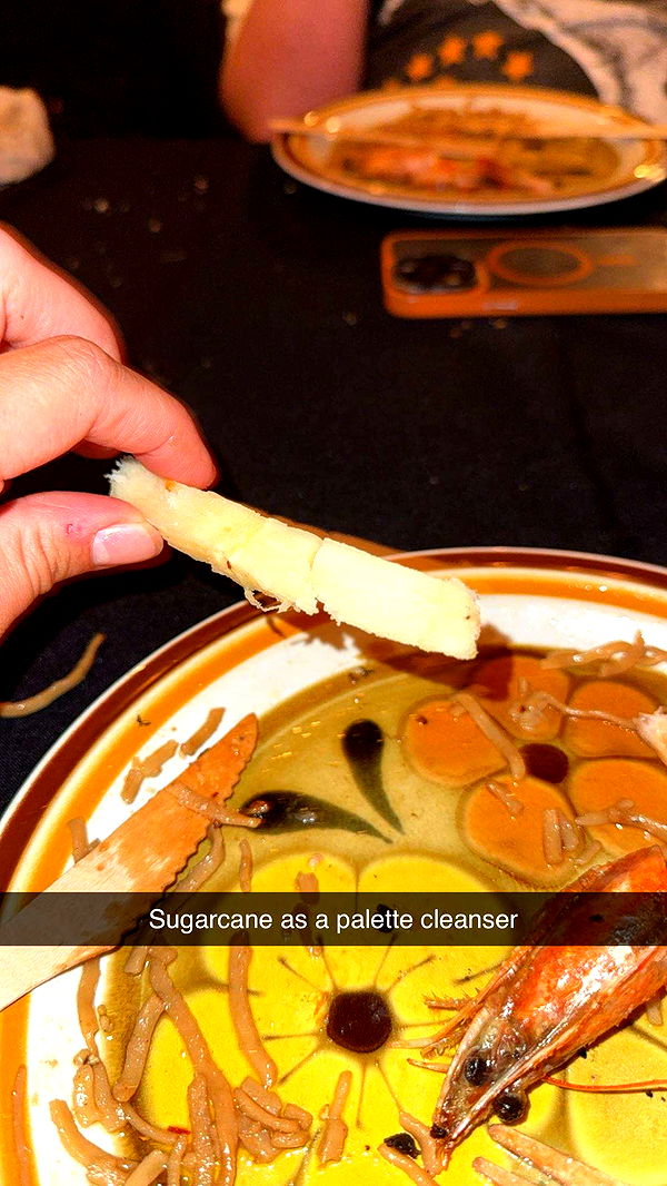 realhaylujan image ~ Altpins