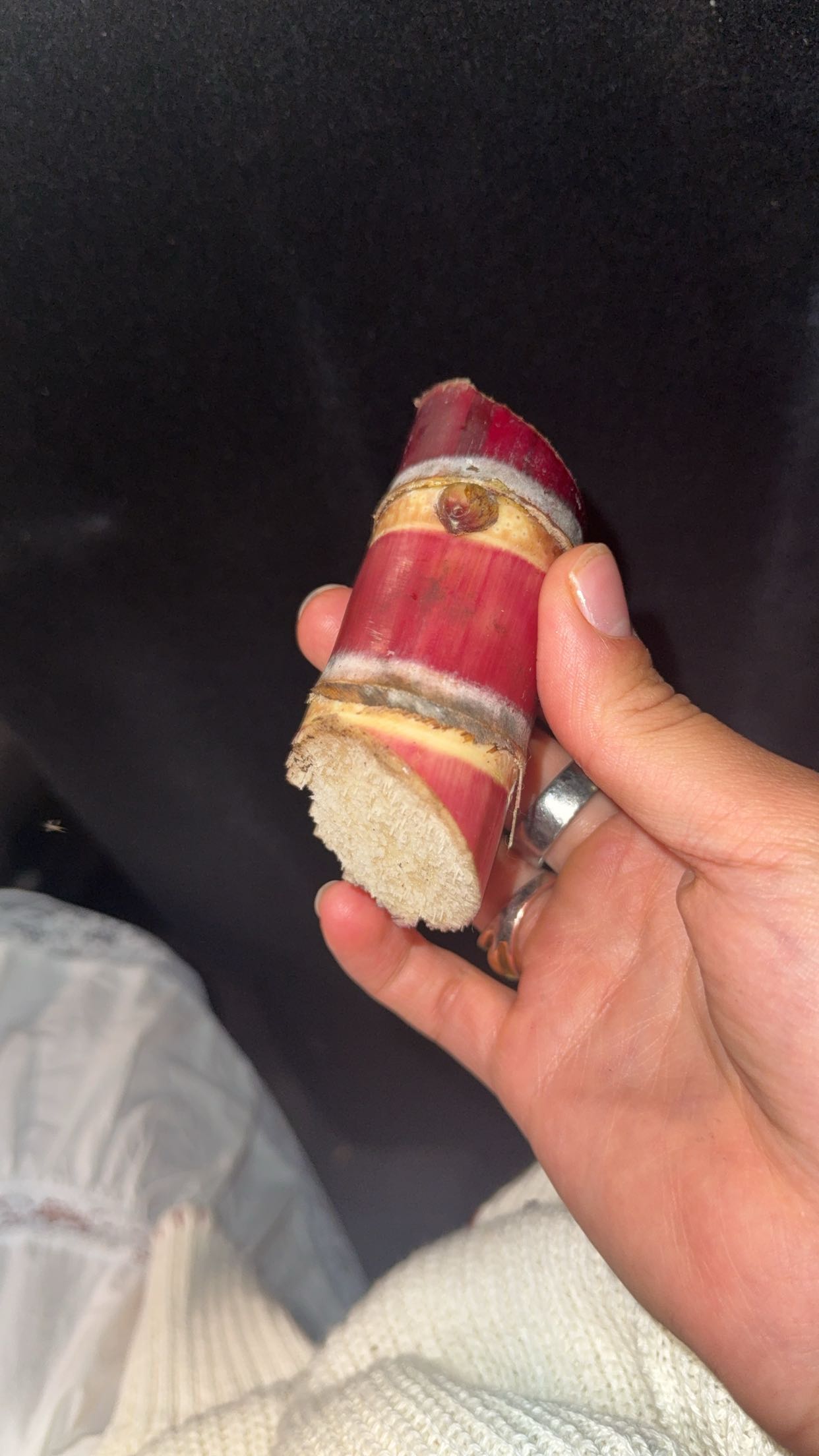 realhaylujan snapchat image archive image