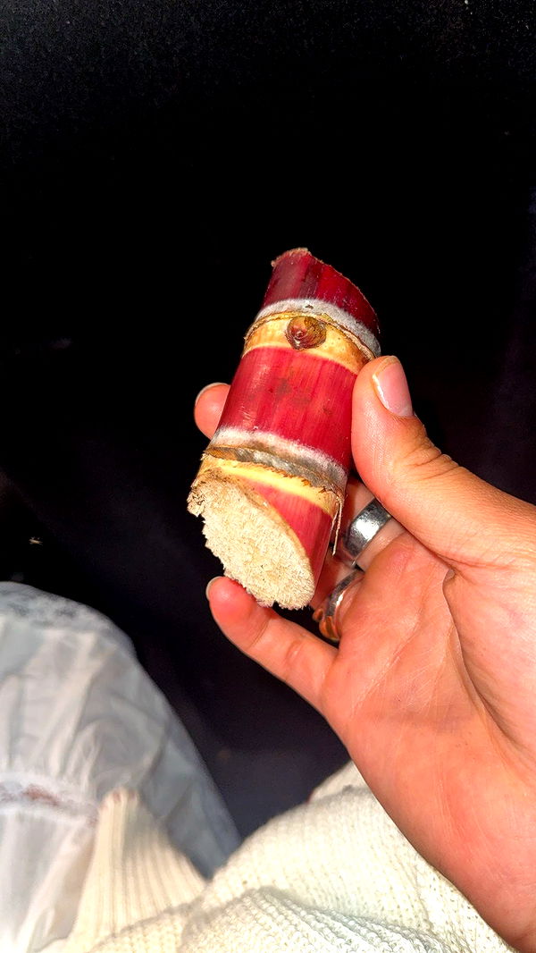 realhaylujan image ~ Altpins