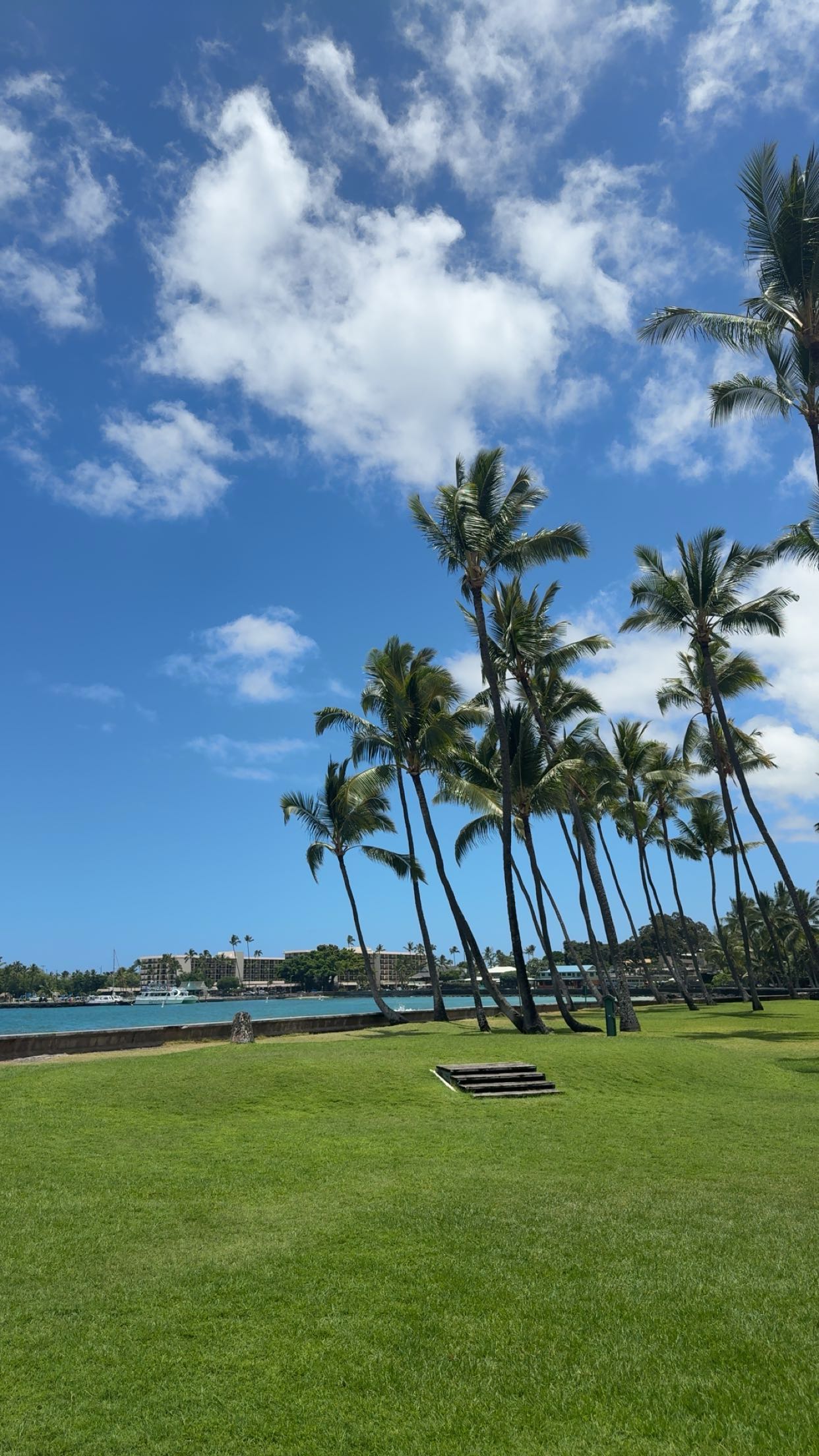 realhaylujan snapchat image archive image