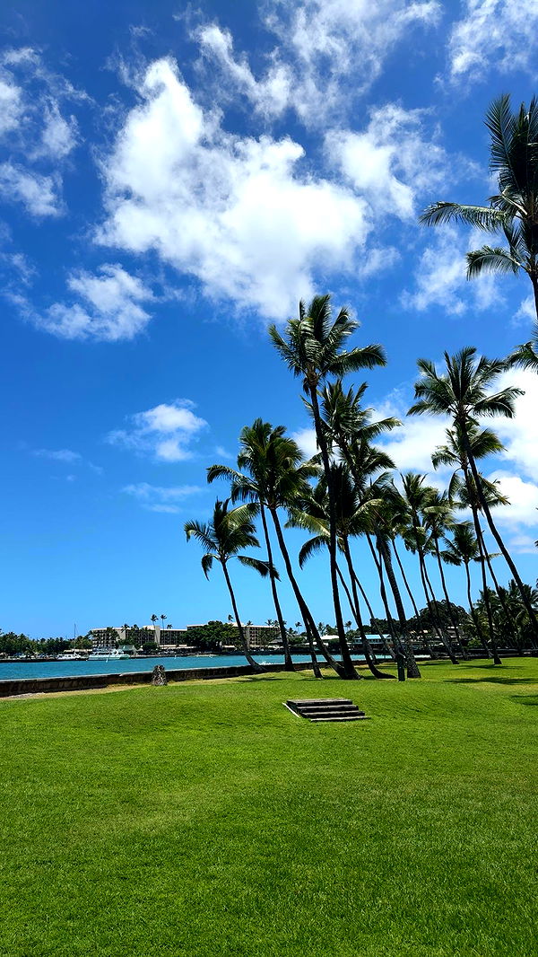 realhaylujan image ~ Altpins