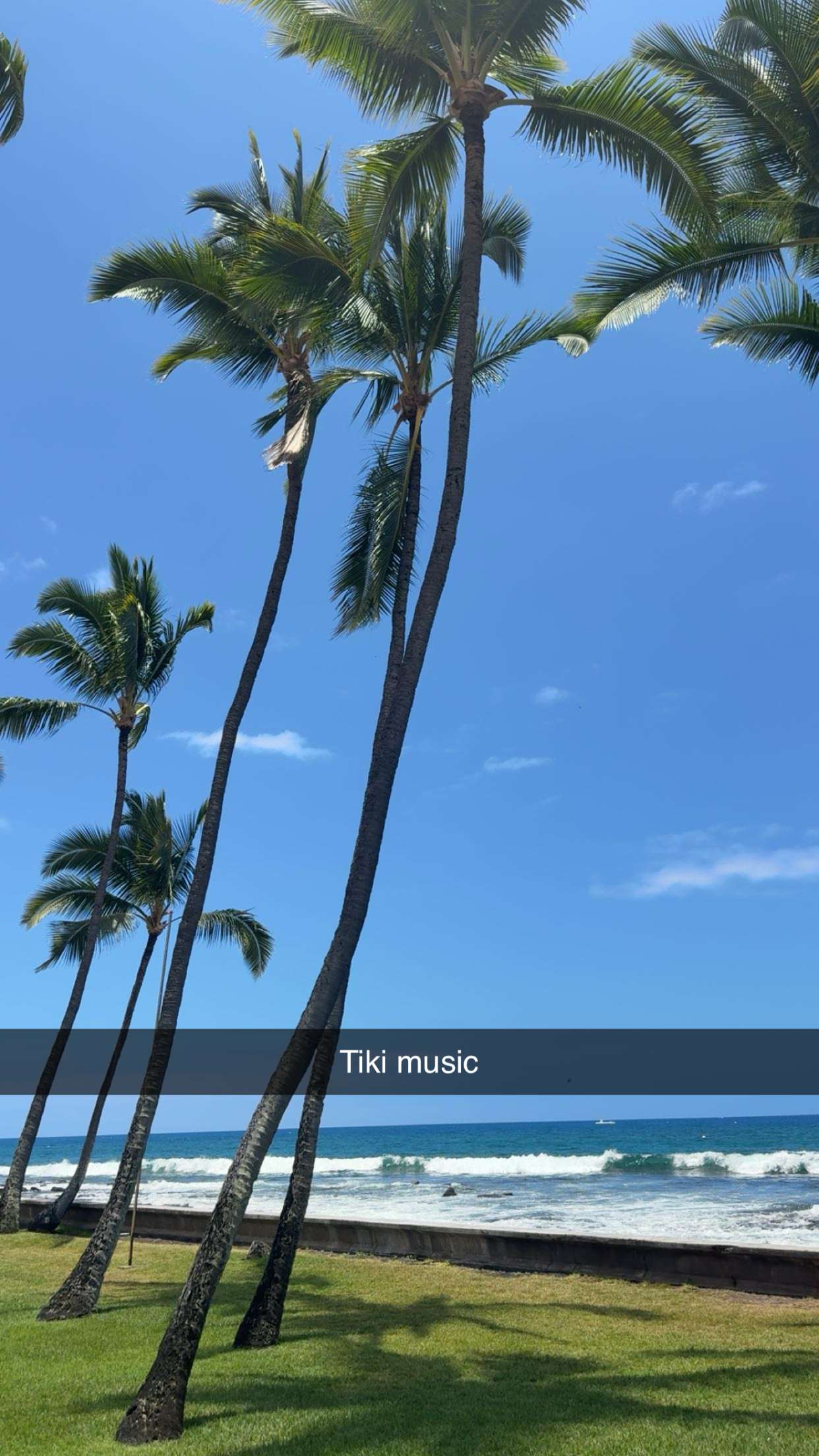 realhaylujan snapchat image archive image