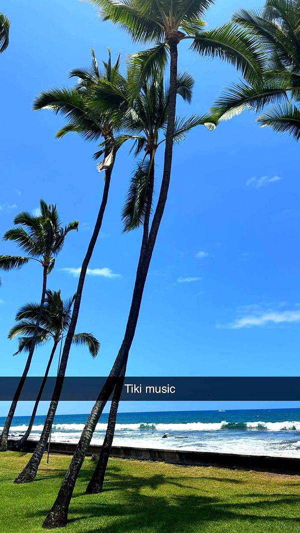 realhaylujan image ~ Altpins