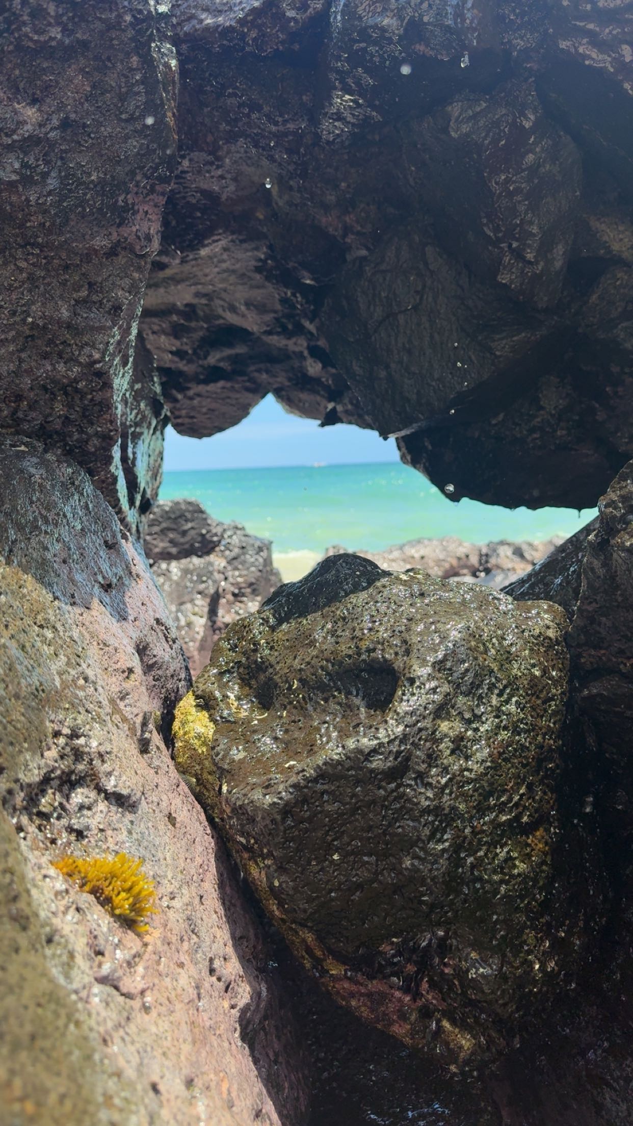 realhaylujan snapchat image archive image