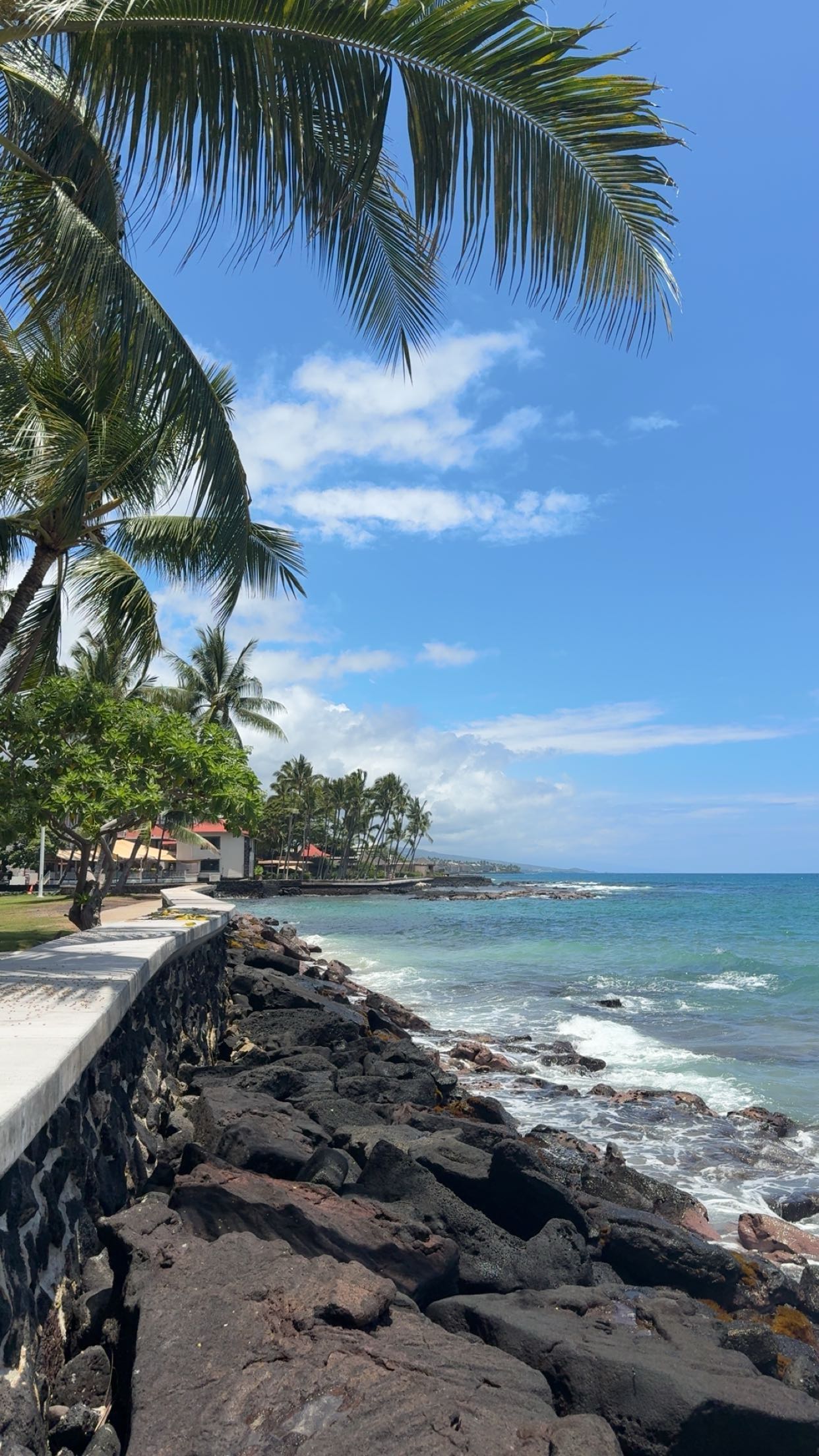 realhaylujan snapchat image archive image