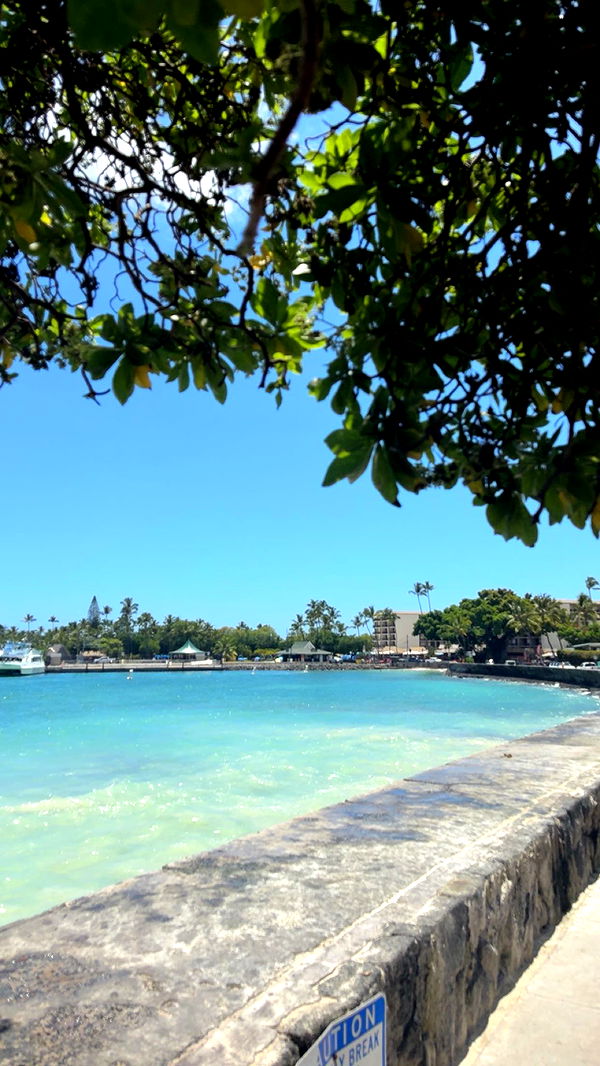 realhaylujan image ~ Altpins