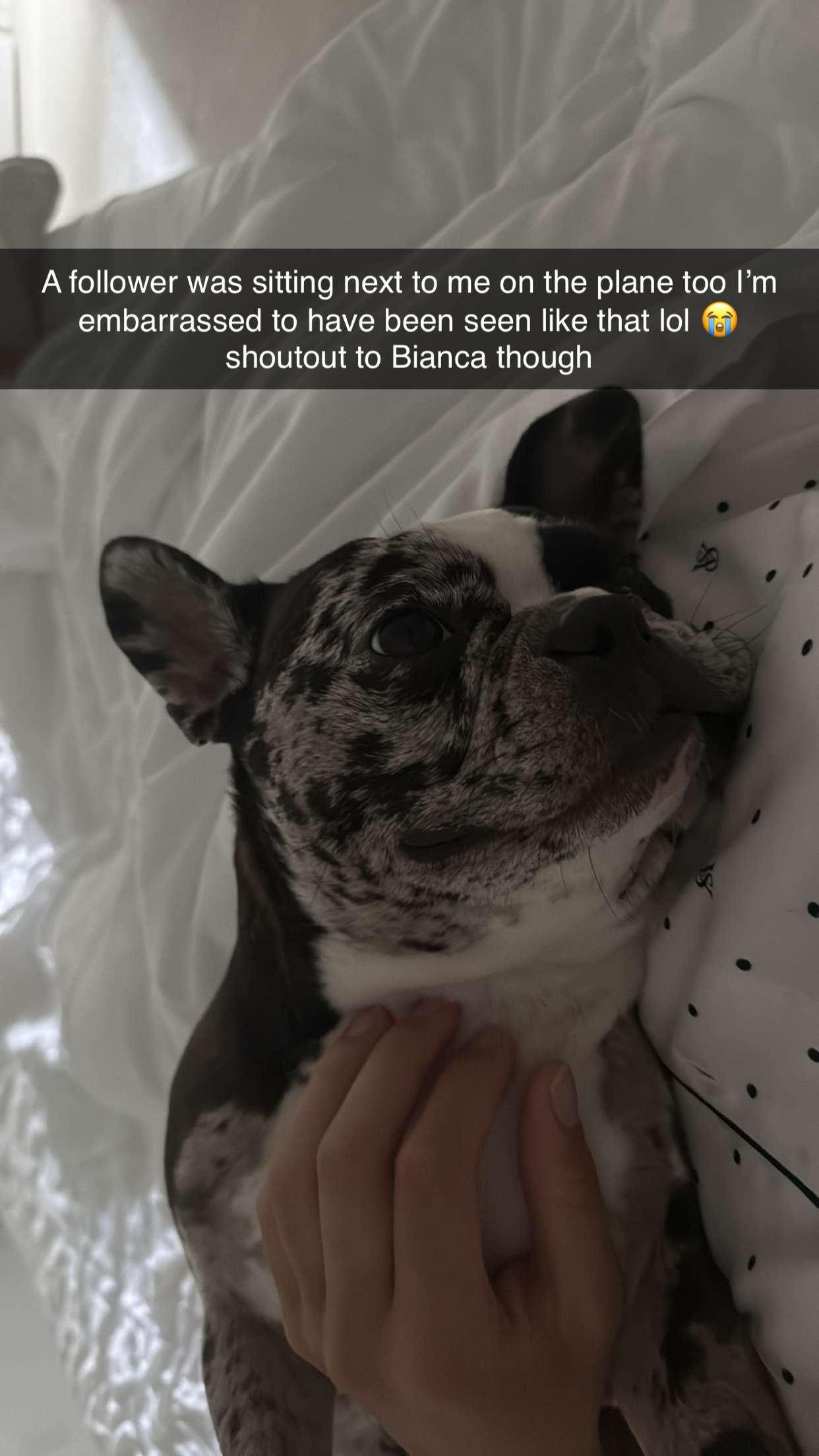 realhaylujan snapchat image archive image