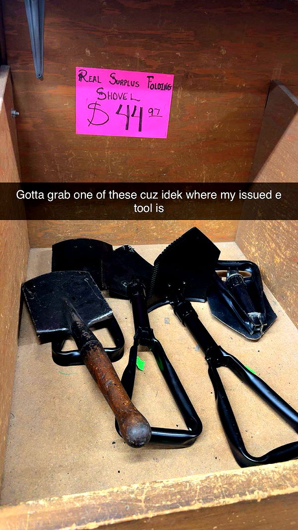 realhaylujan image ~ Altpins