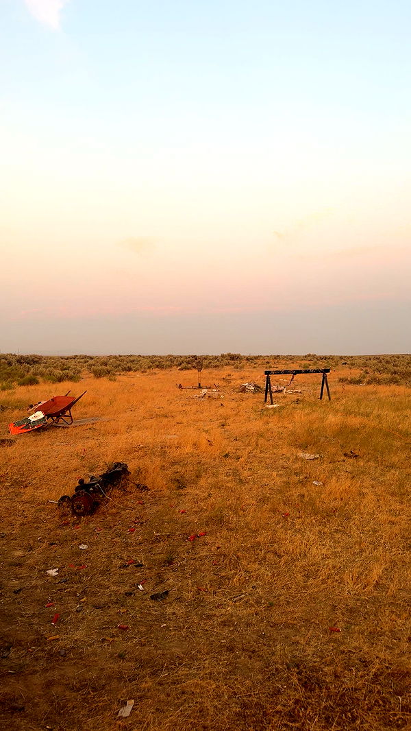 realhaylujan image ~ Altpins