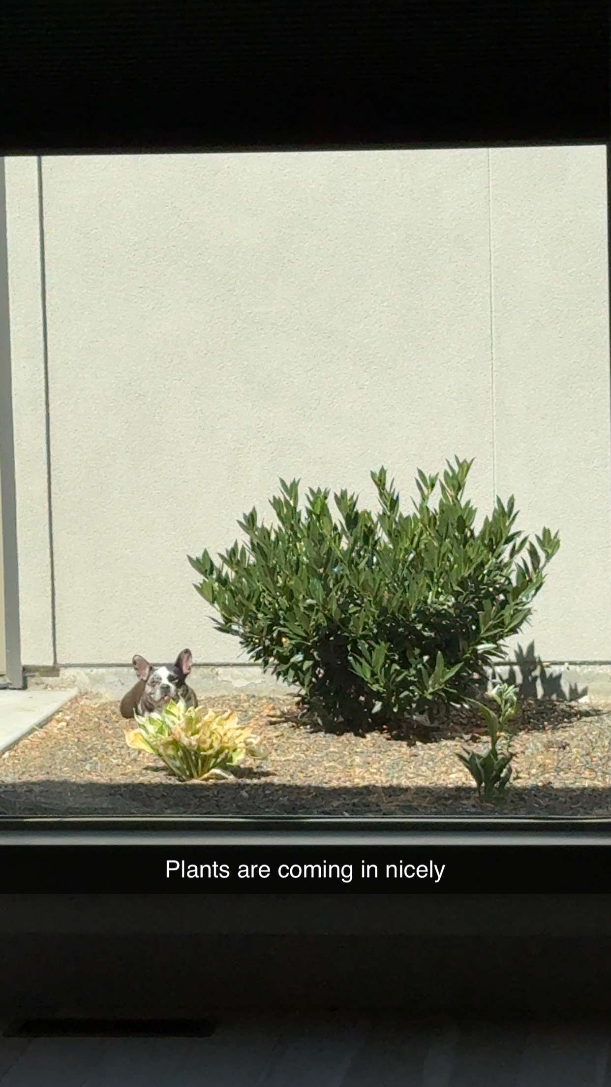 realhaylujan snapchat image archive image